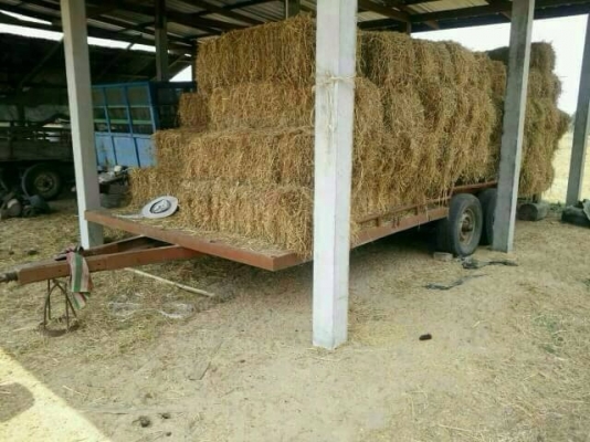 ขาย DC95GM ปี 54 เล่มพร้อม  พร้อม เทรลเลอร์