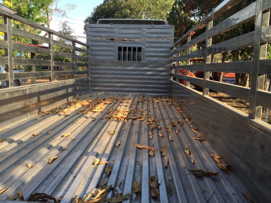 ขาย กะบะสะเเตลเรส ยาว5.50ม ยกลงจาก ฮีโน่ FC4J สภาพดีสวยพร้อมใช้ ราคา 135,000บ ราคาเบาๆ ขาย กะบะสะเเตลเรส ยาว5.50ม ยกลงจาก ฮีโน่ FC4J สภาพดีสวยพร้อมใช้ ราคา 135,000บ ราคาเบาๆ