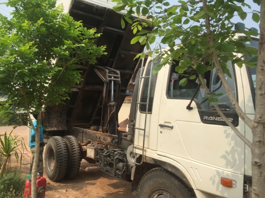 ขายหกล้อดัมพ์พร้อมใช้งาน