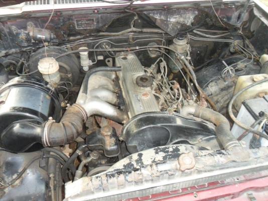 ขายไซโคลนแคปเดิมๆ ราคา50000ต่อรองได้ ขายไซโคลนแคปเดิมๆ ราคา50000ต่อรองได้