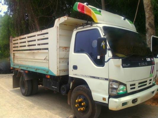 รถอีซูซุ 6 ล้อดั้ม NQR 175 แรงม้า. ปี 51.    สนใจติดต่อ  081 - 6079515