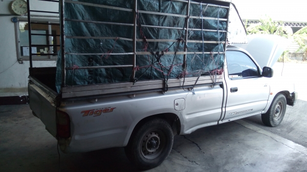 ขายรถกระบะ โตโยต้า ไฮลัก ไทเกอร์ ปี2003 ขายรถกระบะ โตโยต้า ไฮลัก ไทเกอร์ ปี2003
