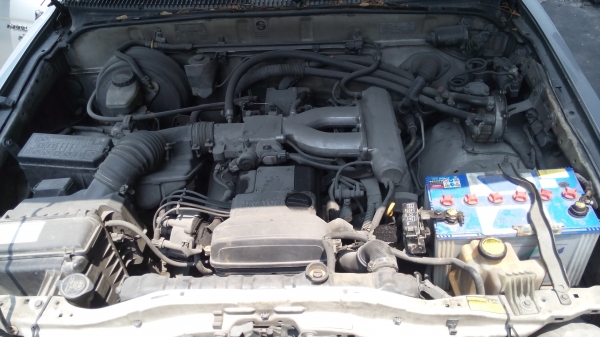 ขายรถกระบะ โตโยต้า ไฮลัก ไทเกอร์ ปี2003 ขายรถกระบะ โตโยต้า ไฮลัก ไทเกอร์ ปี2003