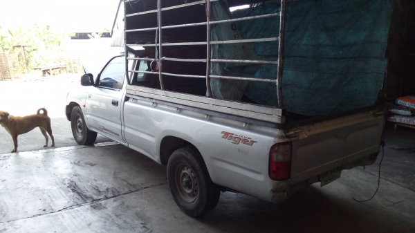 ขายรถกระบะ โตโยต้า ไฮลัก ไทเกอร์ ปี2003 ขายรถกระบะ โตโยต้า ไฮลัก ไทเกอร์ ปี2003