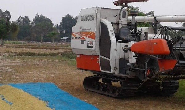 ขายรถเกี่ยวข้าว  คูโบต้า  DC 95  PLUS  ปี 56  ราคา 545,000  พร้อมเทลเลอร์