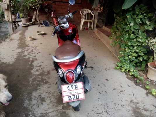 ขายfino ติดต่อ ธนิต  โทร 0843655669