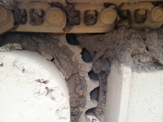 ขาย Komatsu Pc200-6 ซีเรียวสูง รถสภาพสวย มีเล่มทะเบียน พร้อมใช้งาน