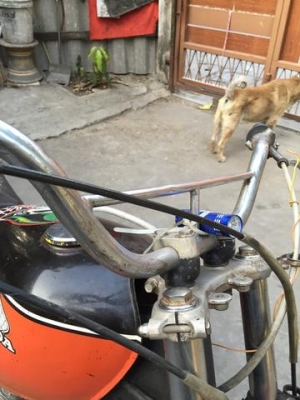 honda xl 250 honda xl 250