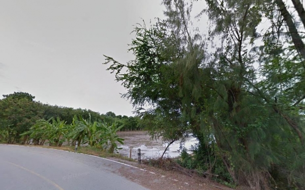 ขายที่ดินพร้อมสิ่งปลูกสร้างและบ่อกุ้งรวม 51 ไร่ ใน อ.เมืองสุพรรณบุรี ขายที่ดินพร้อมสิ่งปลูกสร้างและบ่อกุ้งรวม 51 ไร่ ใน อ.เมืองสุพรรณบุรี