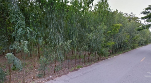 ขายที่ดินพร้อมสิ่งปลูกสร้างและบ่อกุ้งรวม 51 ไร่ ใน อ.เมืองสุพรรณบุรี ขายที่ดินพร้อมสิ่งปลูกสร้างและบ่อกุ้งรวม 51 ไร่ ใน อ.เมืองสุพรรณบุรี