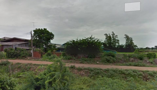 ขายที่ดินพร้อมสิ่งปลูกสร้างและบ่อกุ้งรวม 51 ไร่ ใน อ.เมืองสุพรรณบุรี ขายที่ดินพร้อมสิ่งปลูกสร้างและบ่อกุ้งรวม 51 ไร่ ใน อ.เมืองสุพรรณบุรี