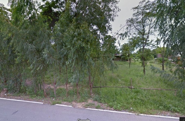 ขายที่ดินพร้อมสิ่งปลูกสร้างและบ่อกุ้งรวม 51 ไร่ ใน อ.เมืองสุพรรณบุรี ขายที่ดินพร้อมสิ่งปลูกสร้างและบ่อกุ้งรวม 51 ไร่ ใน อ.เมืองสุพรรณบุรี