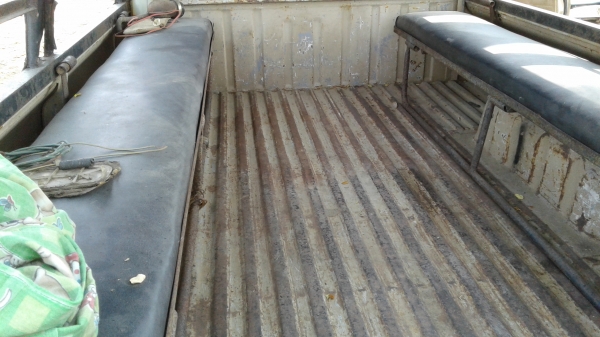 ม้าดำเบนซิล