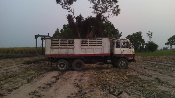 ด่วน ขายรถบรรทุก 10 ล้อ MITSUBISHI  2 เพลา รถดัมพ์ เครื่อง 165  แรงม้า มีเกียร์พิเศษ แรงๆ สภาพดี ราคาถูก ทะเบียนพร้อมโอน สนใจติดต่อเจ้าของโดยตรงเลยครับที่เบอร์ 0801584860 หรือ 0613480934