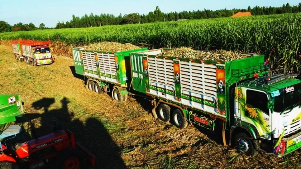 ขายรถบรรทุกพ่วง ISUZU FXZ360HP ปี56