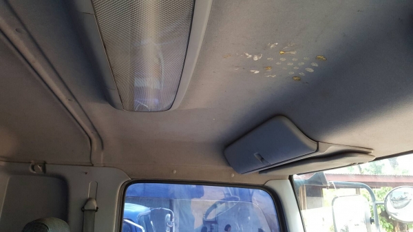 ขาย 10 ล้อ หัวลาก HINO FM2PKLA ปี 53 พร้อมหางเทนเลอร์ 3 เพลา ยาว 12.50 เมตร เครื่องยนต์ 380 แรงม้า เกียร์เดิม ช่วงล่างคัสซีสวย ราคาคุยกันได้ครับ ขาย 10 ล้อ หัวลาก HINO FM2PKLA ปี 53 พร้อมหางเทนเลอร์ 3 เพลา ยาว 12.50 เมตร เครื่องยนต์ 380 แรงม้า เกียร์เดิม ช่วงล่างคัสซีสวย ราคาคุยกันได้ครับ