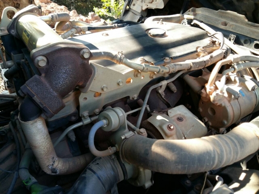 รถอีซุซุ 6 ล้อดั้ม NPR 150 แรงม้า ปี 51.  ( รถวิ่ง 2xx,xxx กม. )    สนใจติดต่อ  081 - 6079515