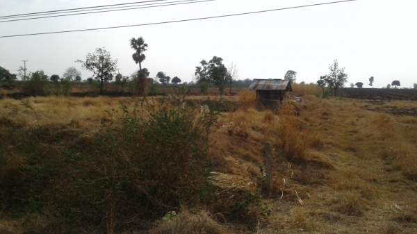 ขออนุญาติTRUCK2HAND ขายที่ดินคับ ไร่ละ1,000,000จำนวน13ไร่