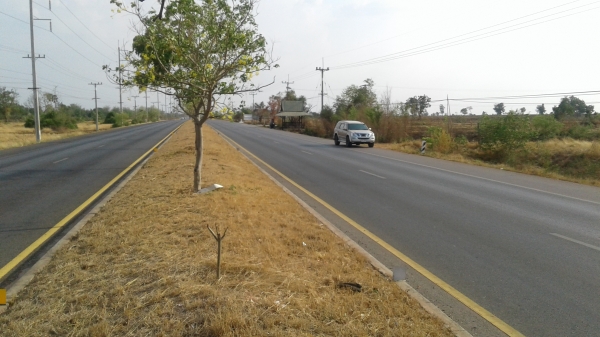 ขออนุญาติTRUCK2HAND ขายที่ดินคับ ไร่ละ1,000,000จำนวน13ไร่