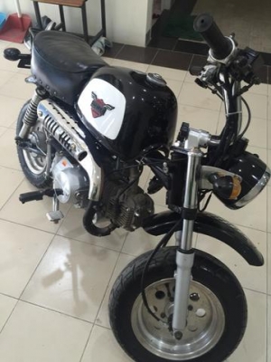 ขายกอลิล่าสีดำ มีครัช ขายกอลิล่าสีดำ มีครัช