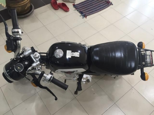 ขายกอลิล่าสีดำ มีครัช ขายกอลิล่าสีดำ มีครัช