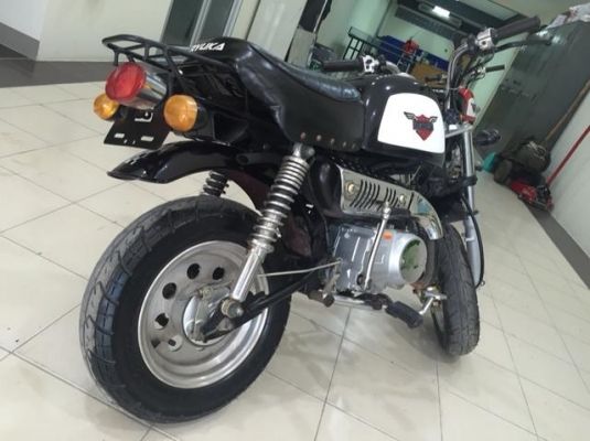 ขายกอลิล่าสีดำ มีครัช ขายกอลิล่าสีดำ มีครัช