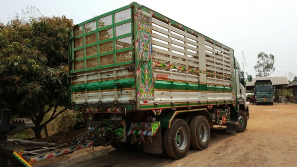 ขาย 360 ปี 56 คอกเกษตร กระบะดั้ม แม่ลูก(รถอยู่สกลนคร) ขาย 360 ปี 56 คอกเกษตร กระบะดั้ม แม่ลูก(รถอยู่สกลนคร)