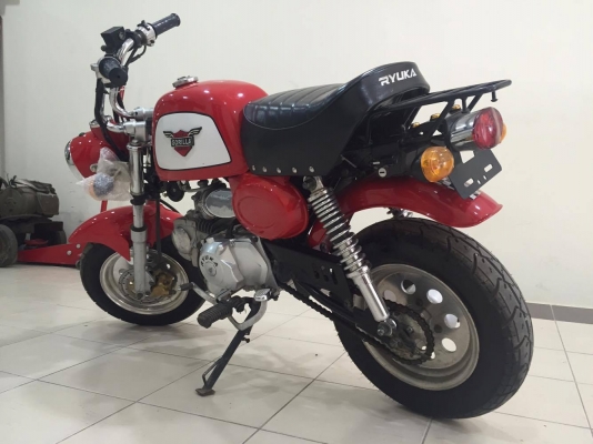 ขายกอลิล่าสีแดง ไม่มีครัช