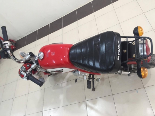 ขายกอลิล่าสีแดง ไม่มีครัช