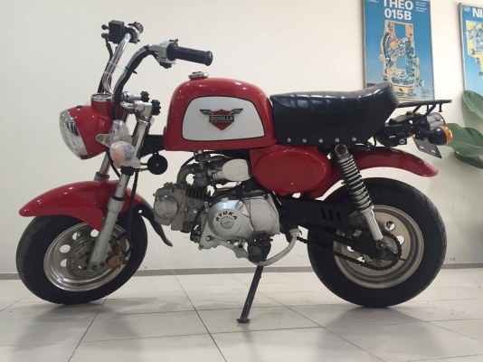 ขายกอลิล่าสีแดง ไม่มีครัช