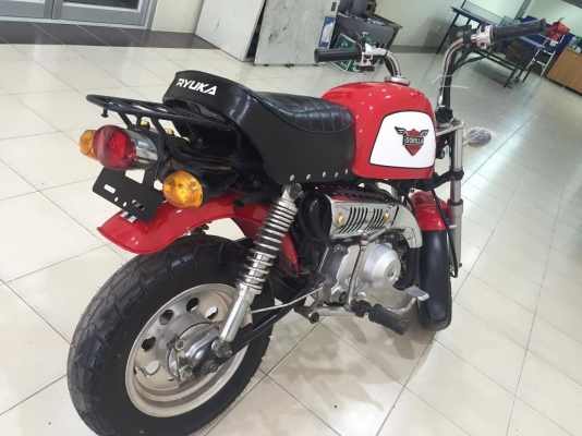 ขายกอลิล่าสีแดง ไม่มีครัช