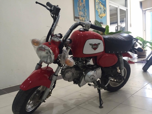 ขายกอลิล่าสีแดง ไม่มีครัช