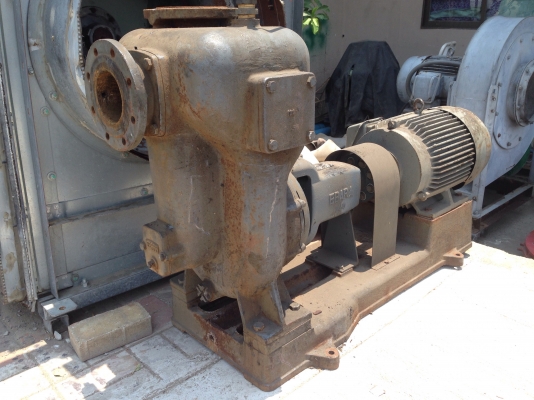 ขายปั้มน้ำ Ebara ขนาดเข้า 4นิ้ว ออก 4นิ้ว รุ่นมีเช็ควาล์วในตัว พร้อมมอเตอร์ 15HP. ทั้งชุดเก่าญี่ปุ่น แปลงไฟเป็น 380V แล้ว สภาพดี พร้อมใช้งาน ขายปั้มน้ำ Ebara ขนาดเข้า 4นิ้ว ออก 4นิ้ว รุ่นมีเช็ควาล์วในตัว พร้อมมอเตอร์ 15HP. ทั้งชุดเก่าญี่ปุ่น แปลงไฟเป็น 380V แล้ว สภาพดี พร้อมใช้งาน