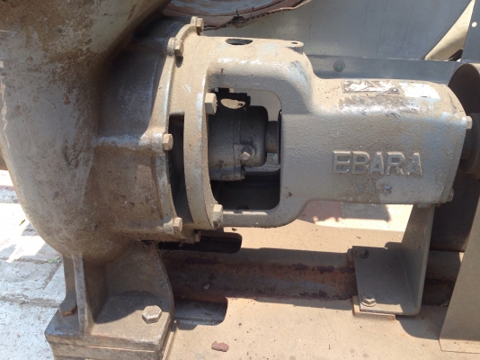ขายปั้มน้ำ Ebara ขนาดเข้า 4นิ้ว ออก 4นิ้ว รุ่นมีเช็ควาล์วในตัว พร้อมมอเตอร์ 15HP. ทั้งชุดเก่าญี่ปุ่น แปลงไฟเป็น 380V แล้ว สภาพดี พร้อมใช้งาน ขายปั้มน้ำ Ebara ขนาดเข้า 4นิ้ว ออก 4นิ้ว รุ่นมีเช็ควาล์วในตัว พร้อมมอเตอร์ 15HP. ทั้งชุดเก่าญี่ปุ่น แปลงไฟเป็น 380V แล้ว สภาพดี พร้อมใช้งาน