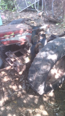 หางรถไถเดินตามลิงลม