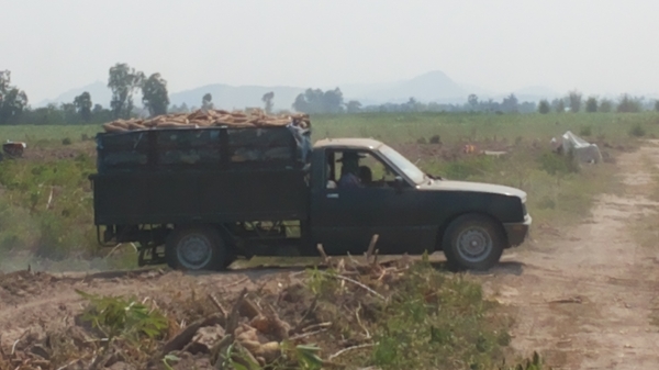 โอนเงินจองแล้ว10000จากคุณสันลาดกระบัง/รถกะบะบรรทุกหินทราย/พืชผลการเกษตพร้อมใช้เครื่องดีคัชซีสวยเลย