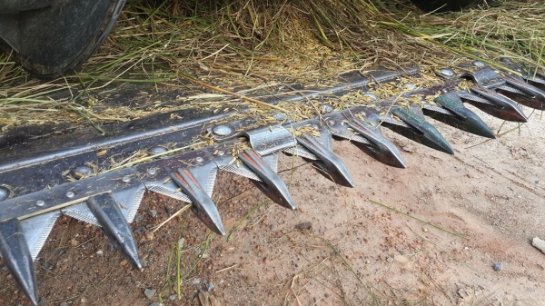 ขายรถเกี่ยวข้าวคูโบต้า DC 70 g ปี 57 ราคาพิเศษ 580,000 พร้อมเทลเลอร์ ราคาปิดงวดรถครับ ชั่วโมงน้อย 1,0xx ชั่วโมง ขายรถเกี่ยวข้าวคูโบต้า DC 70 g ปี 57 ราคาพิเศษ 580,000 พร้อมเทลเลอร์ ราคาปิดงวดรถครับ ชั่วโมงน้อย 1,0xx ชั่วโมง