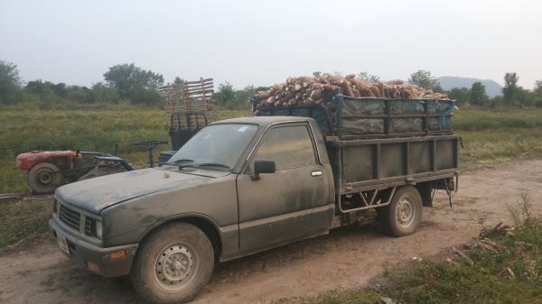 โอนเงิน10000จองแล้วครับจากคุณสันลาดกระบัง/รถกะบะบรรทุกหินทราย/พืชผลการเกษตพร้อมใช้เครื่องดีคัชซีสวยเลย