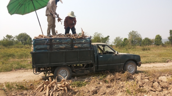 โอนเงิน10000จองแล้วครับจากคุณสันลาดกระบัง/รถกะบะบรรทุกหินทราย/พืชผลการเกษตพร้อมใช้เครื่องดีคัชซีสวยเลย