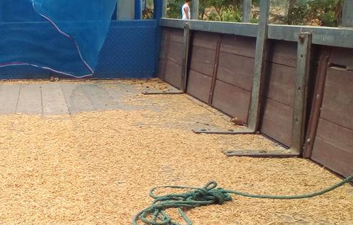 **350,000 บ.ต่อรอง/// 6ล้อบรรทุก ISUZU NPR-110 หัวการ์ตูน ห้างแท้ปี44 เครื่อง/เกียร์ เดิม แรงดี ช่วงล่างเดิม คัสซีสวย หัวสวยบางภายในสวยคตรบ กระบะพื้นไม้คอกเหล็ก4.30ม.สภาพสวย ยาง7.50/16 สภาพ70\% รถบอดี้เดิม สีสันสวยบาง พร้อมใช้ เล่มฯ ครบ **ขาย ISUZU NKR-110 **350,000 บ.ต่อรอง/// 6ล้อบรรทุก ISUZU NPR-110 หัวการ์ตูน ห้างแท้ปี44 เครื่อง/เกียร์ เดิม แรงดี ช่วงล่างเดิม คัสซีสวย หัวสวยบางภายในสวยคตรบ กระบะพื้นไม้คอกเหล็ก4.30ม.สภาพสวย ยาง7.50/16 สภาพ70\% รถบอดี้เดิม สีสันสวยบาง พร้อมใช้ เล่มฯ ครบ **ขาย ISUZU NKR-110