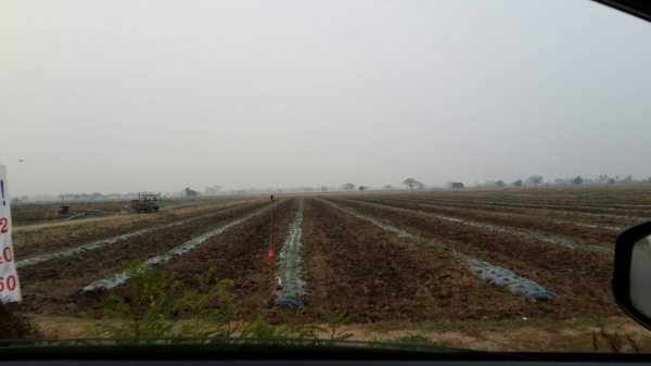 ที่ดิน อ.ศรีประจันต์ จ.สุพรรณบุรี ไร่ละ 300,000 มี 10 ไร่ สวยๆๆ ด่วน