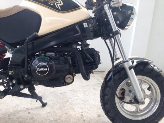 Stallion Solo 125cc Mini Restro รถ5เดือนสภาพใหม่ป้ายแดงไร้ริ้วรอย สวย