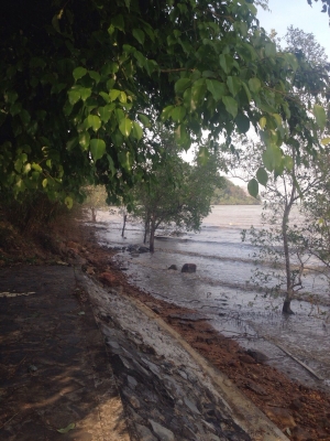 ขายรีสอร์ท เกาะช่าง จ.ตราด พร้อมบ้านพัก4หลัง  15ล้าน