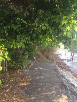 ขายรีสอร์ท เกาะช่าง จ.ตราด พร้อมบ้านพัก4หลัง  15ล้าน