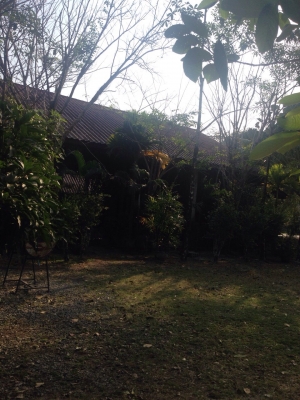 ขายรีสอร์ท เกาะช่าง จ.ตราด พร้อมบ้านพัก4หลัง  15ล้าน