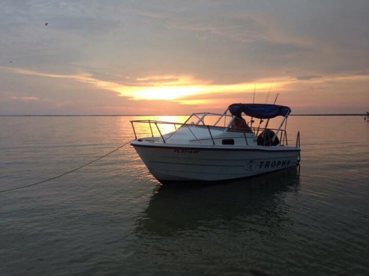 ขาย trophy.  18. ฟุต. 115 zusuki4.  พร้อมเล่น