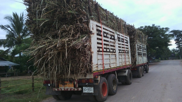 รถพ่วง แม่+ลูก 880000 บ.