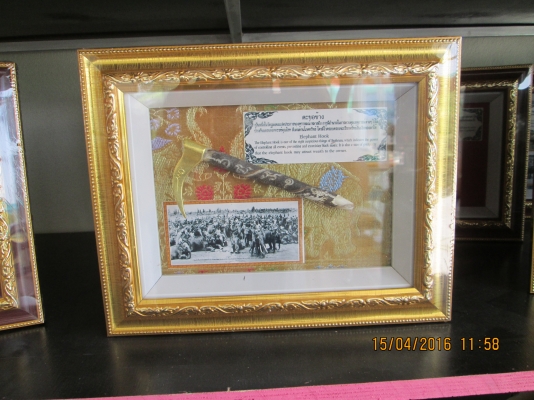 ตะขอ/เลี้ยงช้าง/จากจังหวัดสุรินทร์/หมู่บ้านช้าง/ขายราคาส่งครับ