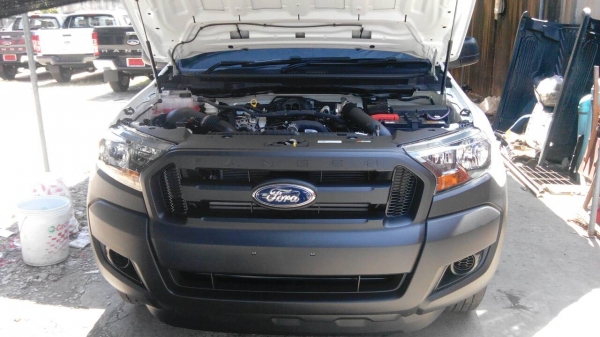 ฟอร์ดหัวเดียว