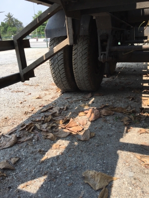 ขายหางพื้นเรียบยาว 12.5เมตร เหล็กคัตซีหนาแข็งแรงไอบีม T0894071471